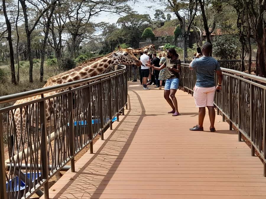 Nairobi:Nairobi national park,David sheldrick,GiraffeCenter - What the $30 price really means