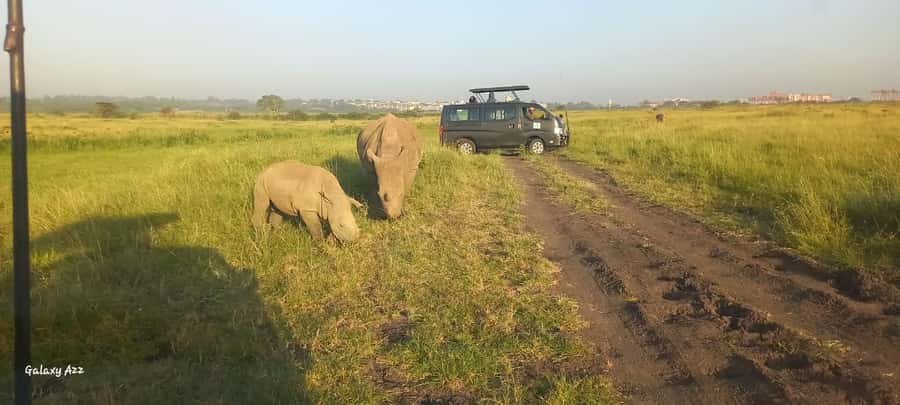 Nairobi:Nairobi national park,David sheldrick,GiraffeCenter - Nine questions to ask before you reserve