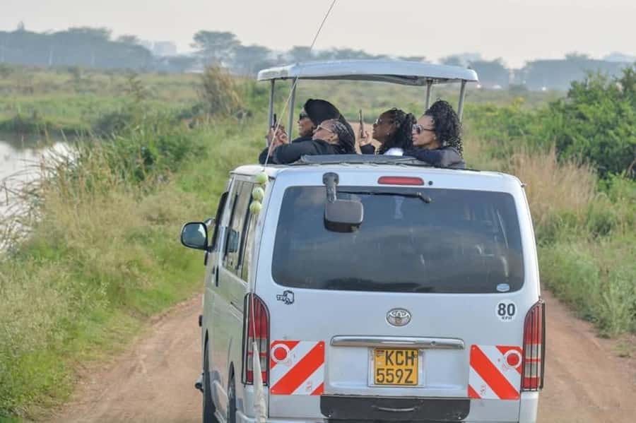 Nairobi: Nairobi National Park Half-Day Game Drive - The 30-minute pickup and transfer