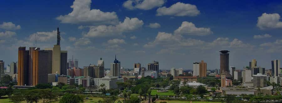 Nairobi National Museum & City Tour. - Five details that make this tour useful