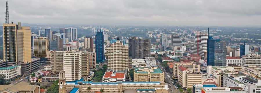 Nairobi National Museum & City Tour. - Walking central Nairobi from KICC to Jeevanjee Gardens