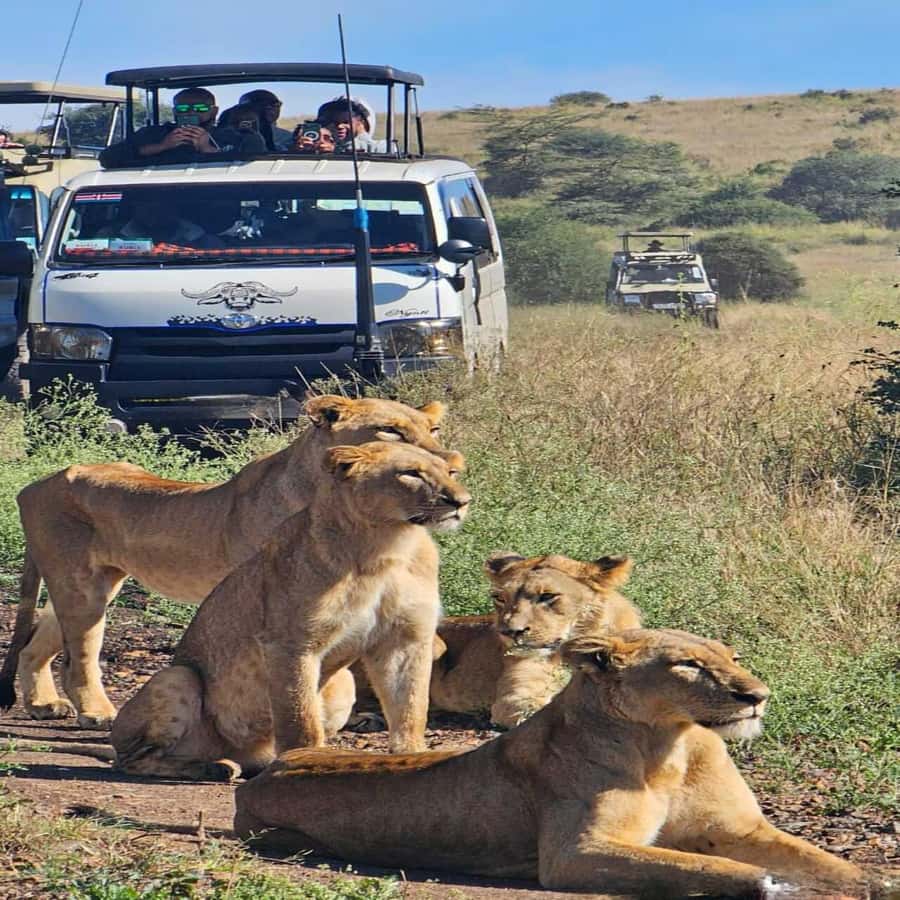 Nairobi National Park 5-hour Guided Game Drive Free Pick up - Key points to know before you book
