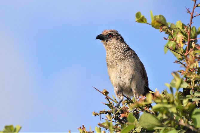 Nairobi National Park - Timing, punctuality, and the value of organization