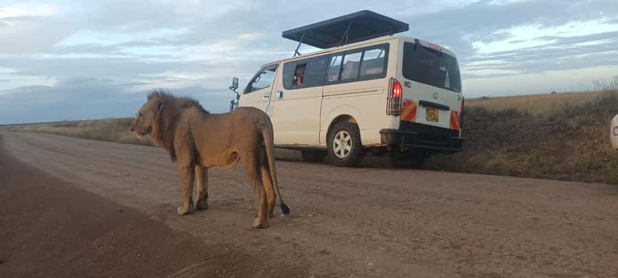 NAIROBI NATIONAL PARK AFTERNOON GAME DRIVE. - Entering Nairobi National Park