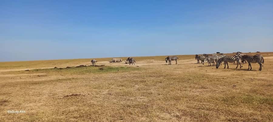 NAIROBI NATIONAL PARK AFTERNOON GAME DRIVE. - A Useful Stop After About Two and a Half Hours
