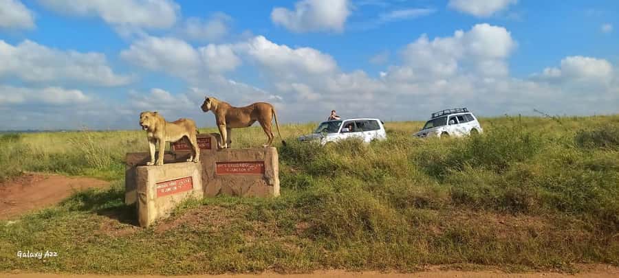 NAIROBI NATIONAL PARK AFTERNOON GAME DRIVE. - Is $35 Good Value?