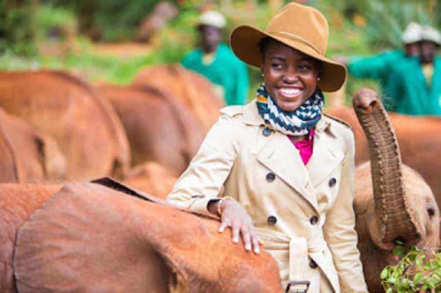 Nairobi national park and elephant orphanage - Key points to know before you book