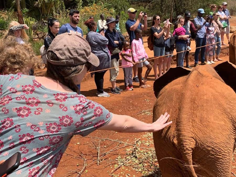 Nairobi national park and elephant orphanage - Who will get the most from this tour?