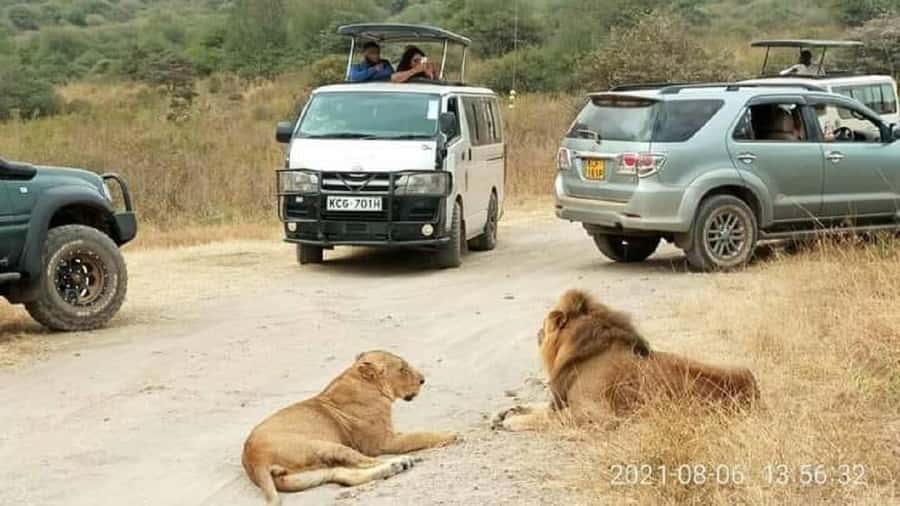 Nairobi national park and elephant orphanage - Why the vehicle matters more than the brochure