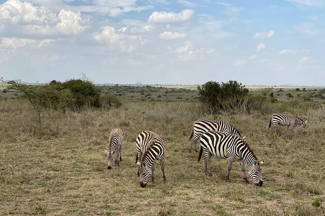 Nairobi national park and Giraffe center - Booking ahead and cancellation details