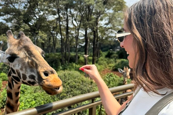 Nairobi National Park and Giraffe Center Daily Tours. - Why this short Nairobi safari works