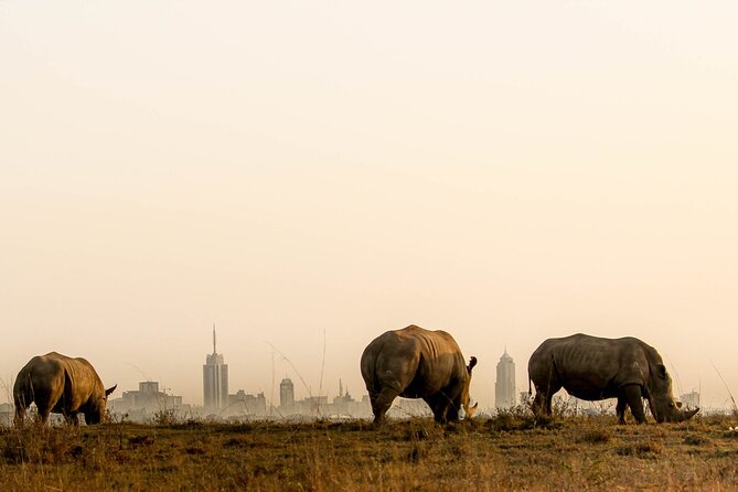 Nairobi National Park and Giraffe Center Day Tour - Five to six hours looking for animals