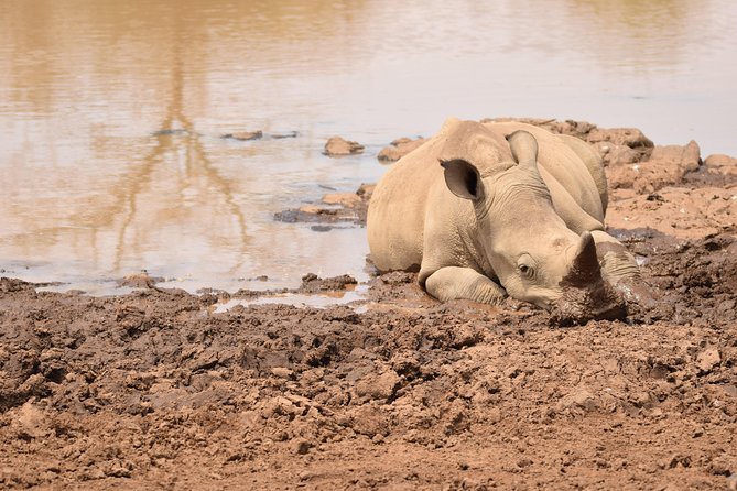 Nairobi National Park, Baby Elephant Orphanage and Giraffe Center - The bead factory stop and an important name check