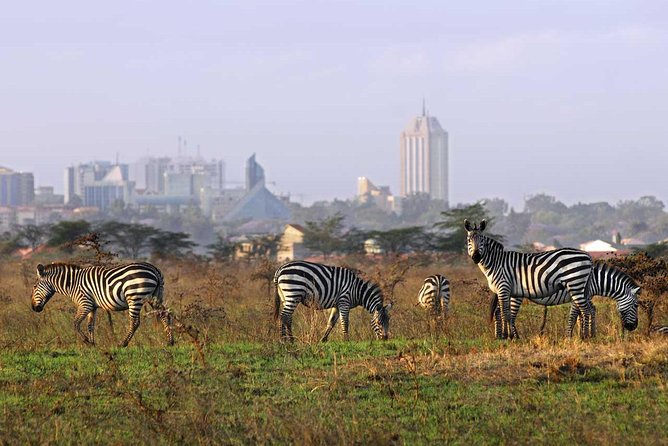 Nairobi National Park, Baby Elephant Orphanage and Giraffe Center - What the $52 price includes, and what it does not