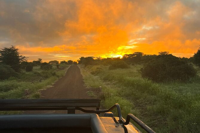 Nairobi National Park Daily Game drives. - Water, Food, and What the Price Really Covers