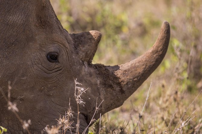 Nairobi National Park Day Tour - Is $170 per person good value?
