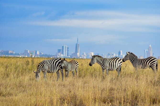 Nairobi National Park Early Morning or Afternoon Game Drive - What the $50 price really covers