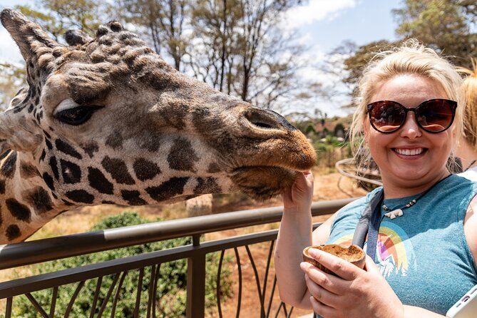 Nairobi National Park, Elephant Orphanage and Giraffe Centre - Meeting Rothschild giraffes at the Giraffe Centre