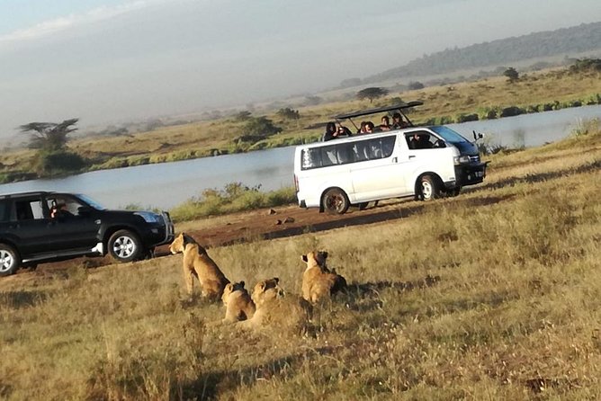 Nairobi National Park, Elephant Orphanage, Giraffe Centre Tour - The real price is about $135 per adult