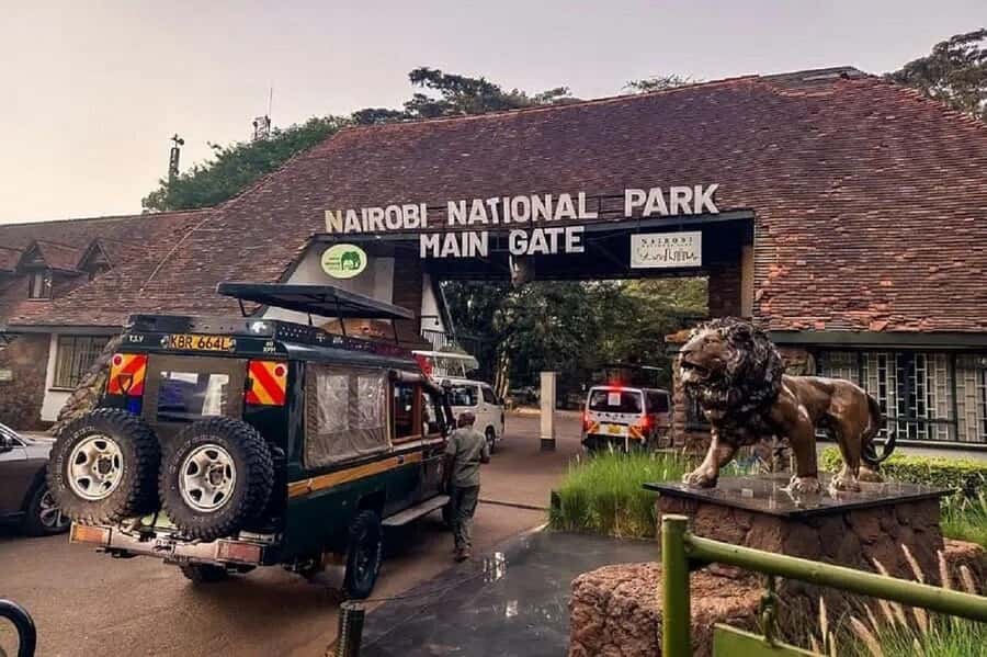 Nairobi: National Park, Elephant Orphanage & Giraffe Tour - Nairobi wildlife in one long day