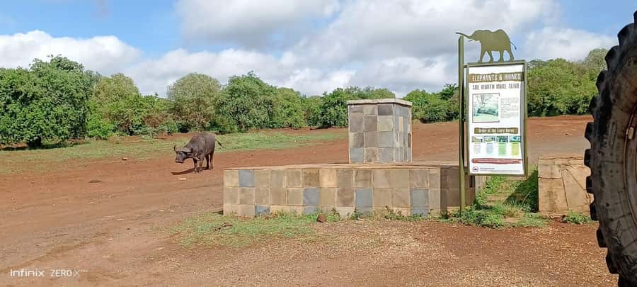 Nairobi; National Park, Elephant Sanctuary & Giraffe Center. - Lunch, local shopping, and the one-hour pause