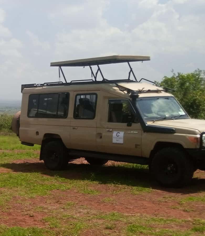 Nairobi National Park Full-Day Tour: Private 4WD with Guide - Key points to know before booking