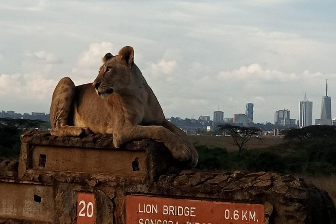 Nairobi National Park Game Drive With Free Pick Up Group Joining - The strongest reason to book