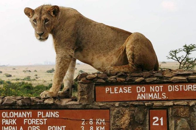 Nairobi National Park, Giraffe Center and Elephant Orphanage Day Tour from Nairobi - Why this Nairobi day tour works