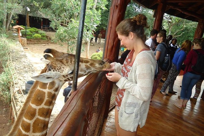 Nairobi National Park, Giraffe Center and Elephant Orphanage Day Tour from Nairobi - What to confirm before paying $275