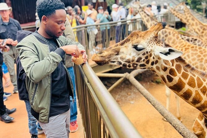 Nairobi National Park Giraffe Center Carnivore Lunch - The day at a glance