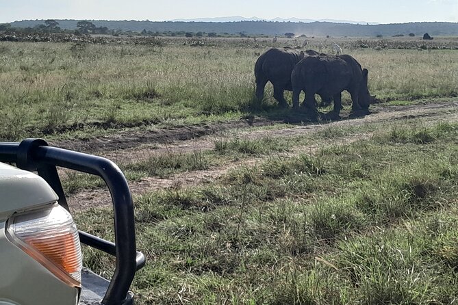 Nairobi National Park Giraffe Center Carnivore Lunch - What four hours in the park can offer