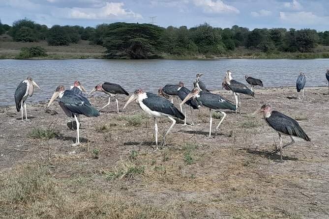 Nairobi National Park Giraffe Center Carnivore Lunch - Carnivore turns lunch into a performance