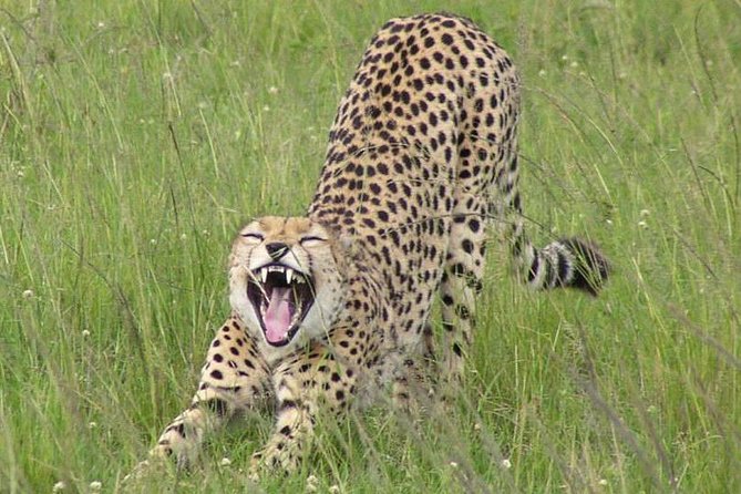 Nairobi National Park, Giraffe Center & Karen Blixen Museum - Lunch, timing and the pace of six hours