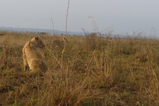 Nairobi National Park, Giraffe Center & Karen Blixen Museum - Who will get the most from this outing?