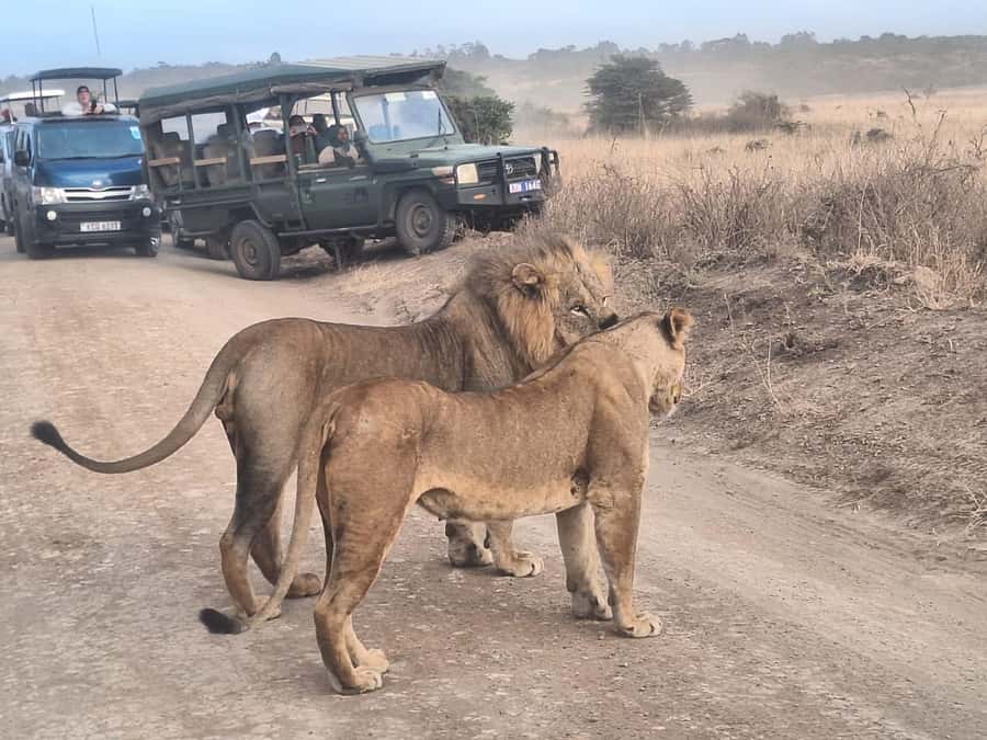 Nairobi National Park,Giraffe Center,Orpanage&Karen Blixxen - Music, dance, and ethnic traditions at Bomas of Kenya