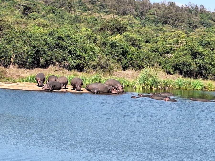 Nairobi National Park,Giraffe Center,Orpanage&Karen Blixxen - Who should book this Nairobi day tour?