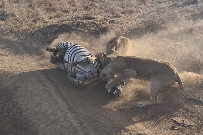 Nairobi National Park Group Shared Tour - Group Size, Comfort, and Physical Demands