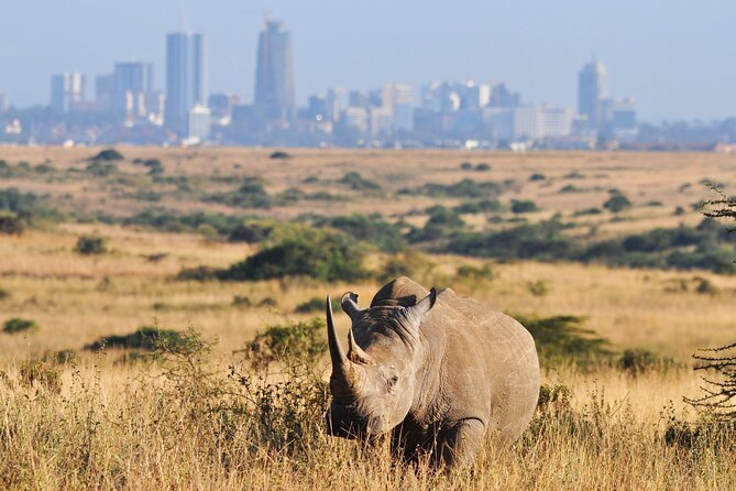 Nairobi National Park Group Tour - Picnic sites and the best photo pauses