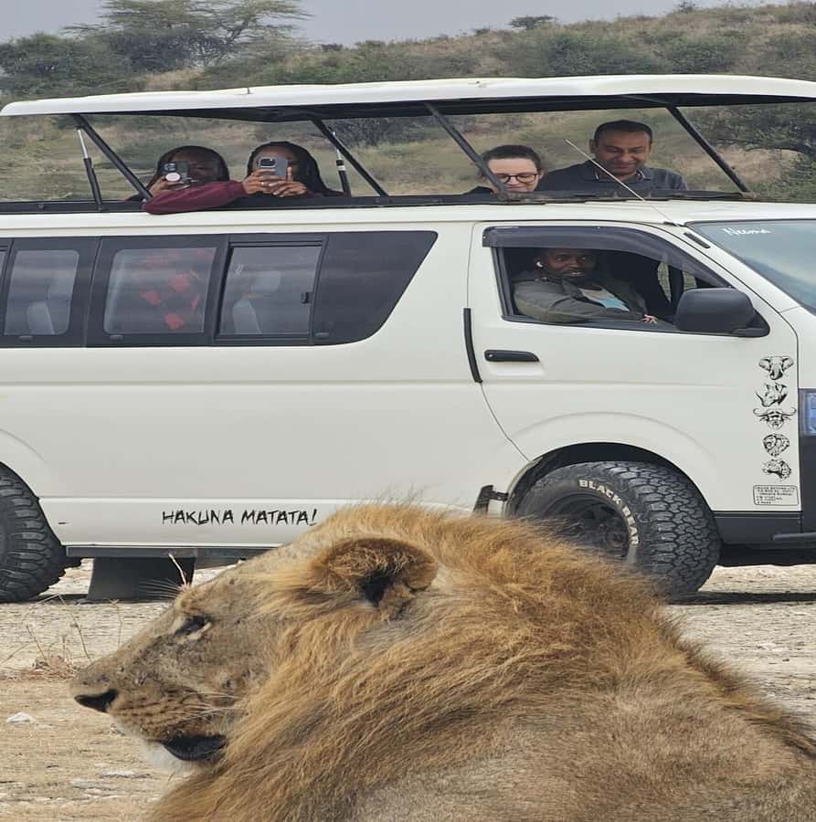 Nairobi: National Park Guided Game Drive - A 30-minute ride from Nairobi to the park gate