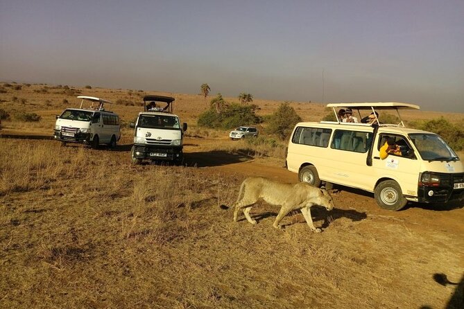 Nairobi National Park Half Day Game Drive Tour With Free WIFI - Sunrise, city views, and photography