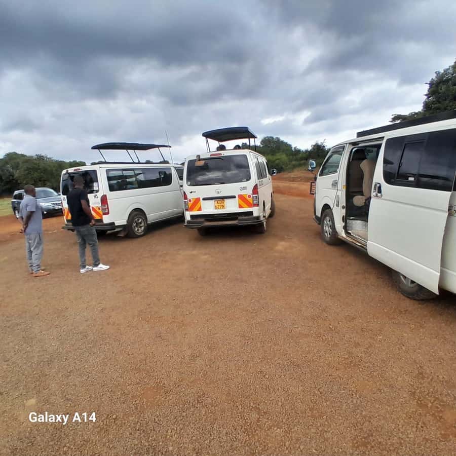 Nairobi National Park: Half-Day Group Tour with Pickup - Four hours of game spotting, with no fixed animal list