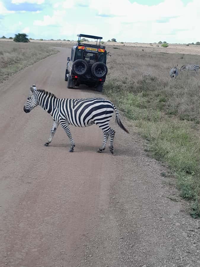 Nairobi National Park: Half-Day Group Tour with Pickup - Curio shops and the ride back