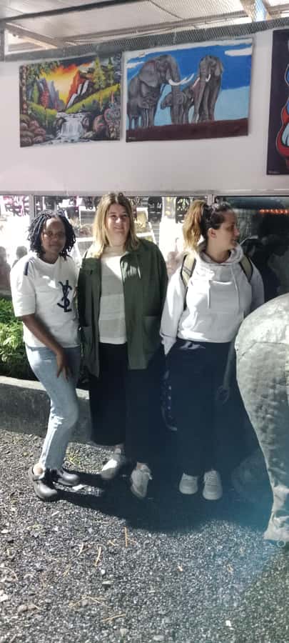Nairobi National Park: Half-Day Group Tour with Pickup - Guide quality is the strongest part of the outing