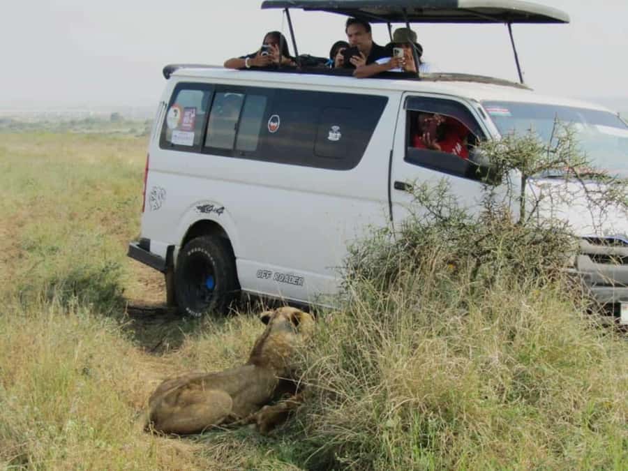 Nairobi National Park Half-Day Guided Game Drive With Pickup - Pickup from Nairobi and the ride to the park
