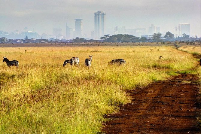 Nairobi National Park: Half Day Guided Tour From Nairobi - Why Nairobi National Park works so well as a short safari