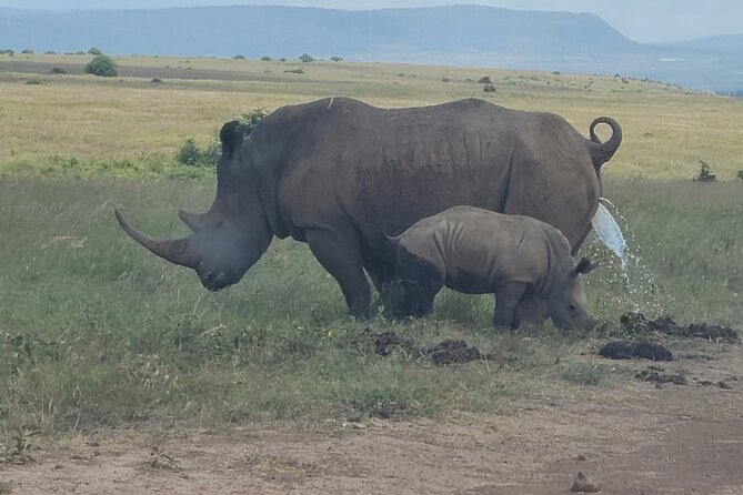 Nairobi National Park Half Day Tour - Kobe Tough brings local culture into the day