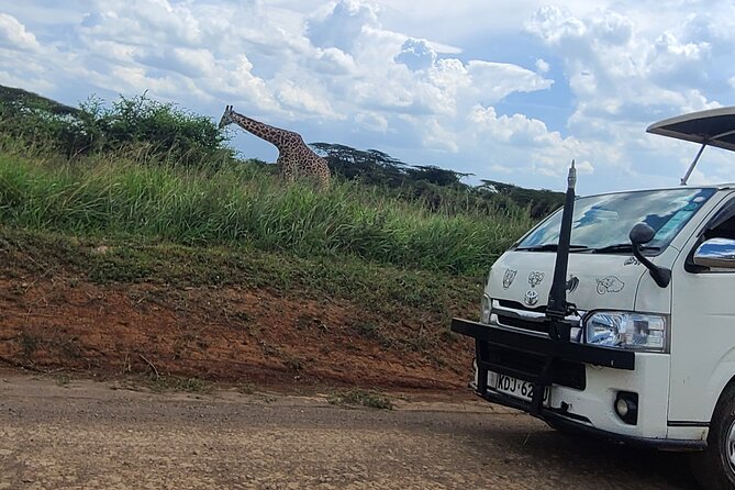 Nairobi National Park Half Day Tour - Who should book this Nairobi safari?