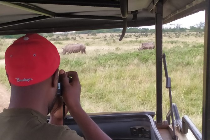 Nairobi National Park Half-Day Tour; Free Wi-Fi connection - Why this safari works so well in Nairobi