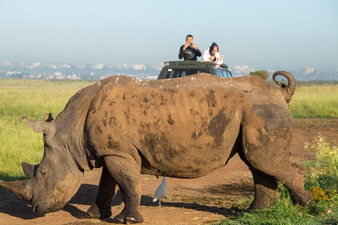Nairobi National Park Half Day Tour with Landcruiser with Pickup - Inside the Landcruiser with the pop roof open
