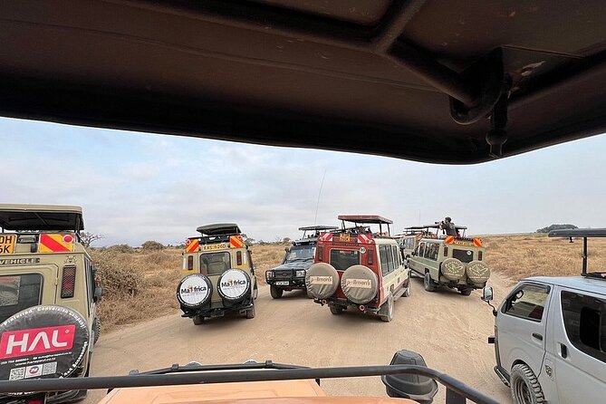 Nairobi National Park Half Day with Pickup - Who should book this half-day safari